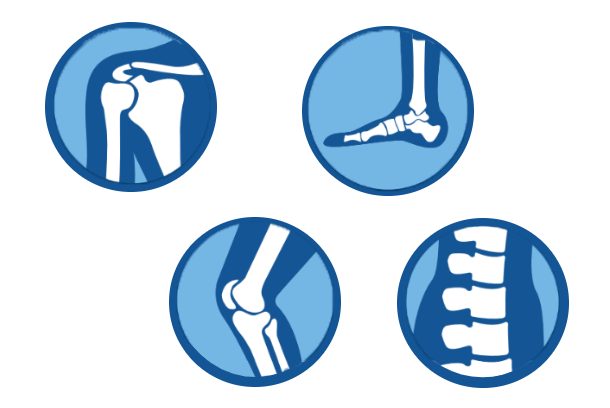 treatment area icons transparent, shoulder, foot, knee, spine